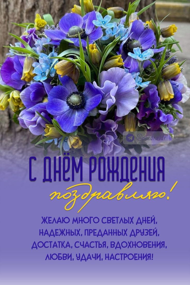 ce95d44db861b26929f7a1f11dbe94ff.jpg